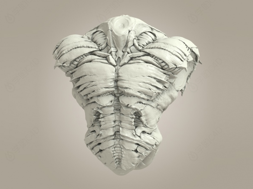 怪兽身体骨胳C4D模型