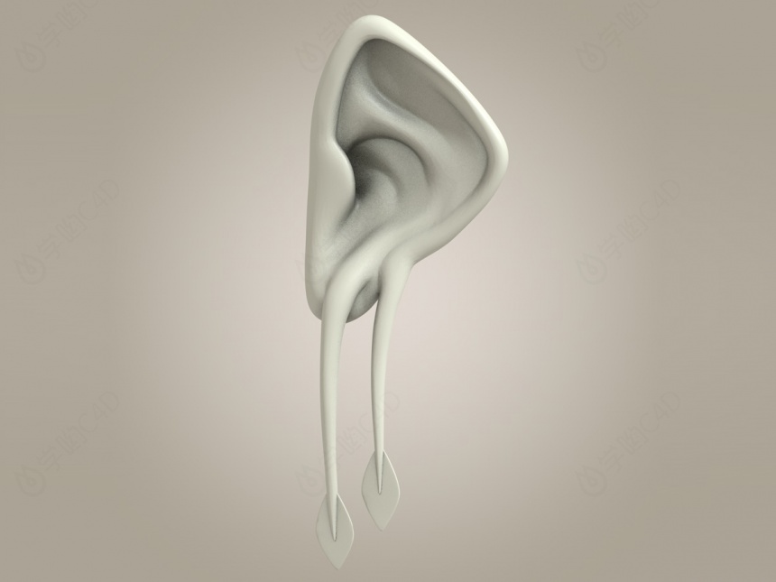 耳朵,器官C4D模型
