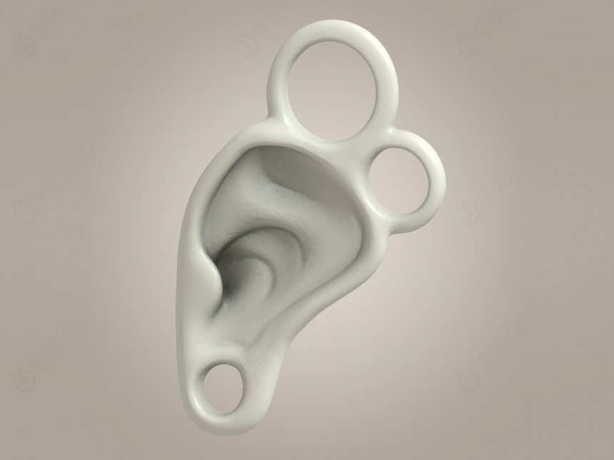 器官耳朵C4D模型