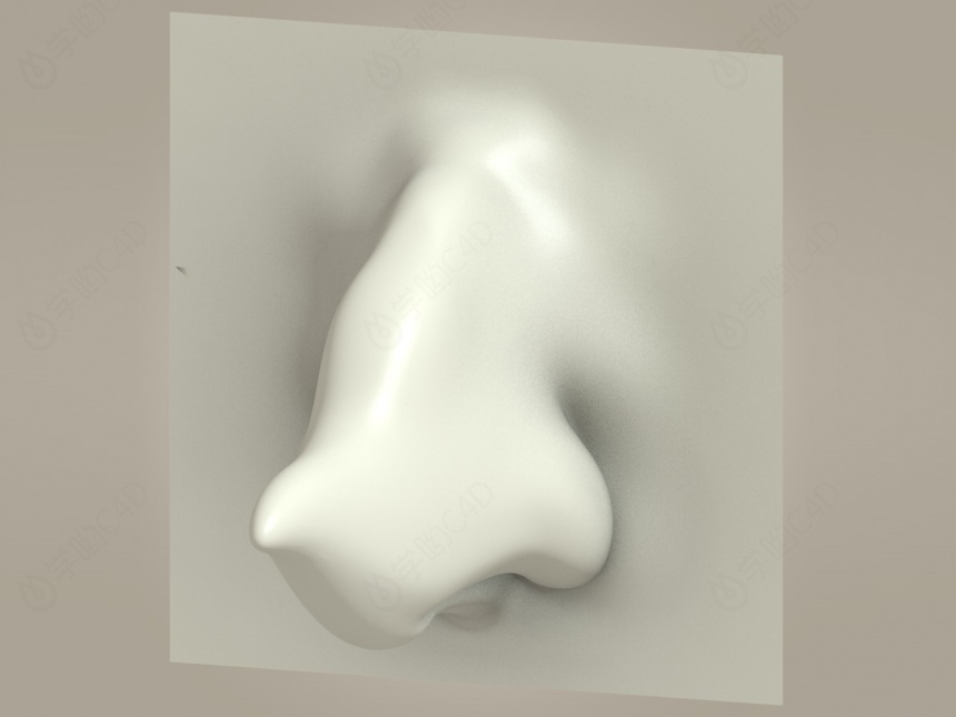 鼻子人体器官C4D模型