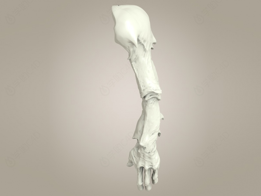 怪物手臂胳膊C4D模型