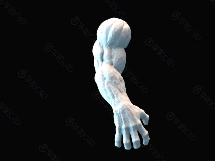 游戏生物手臂C4D模型
