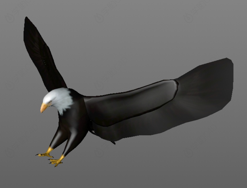 仿真卡通野生动物鸟类老鹰C4D模型