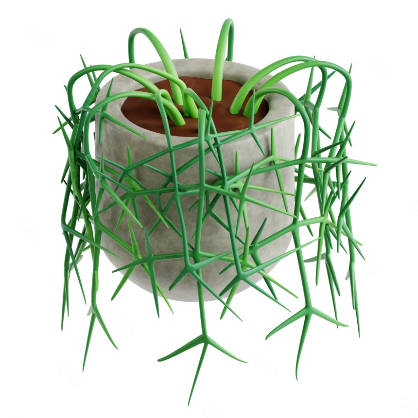 卡通绿植植物现代室内绿植盆栽利普萨利斯仙人掌绿萝吊篮C4D模型