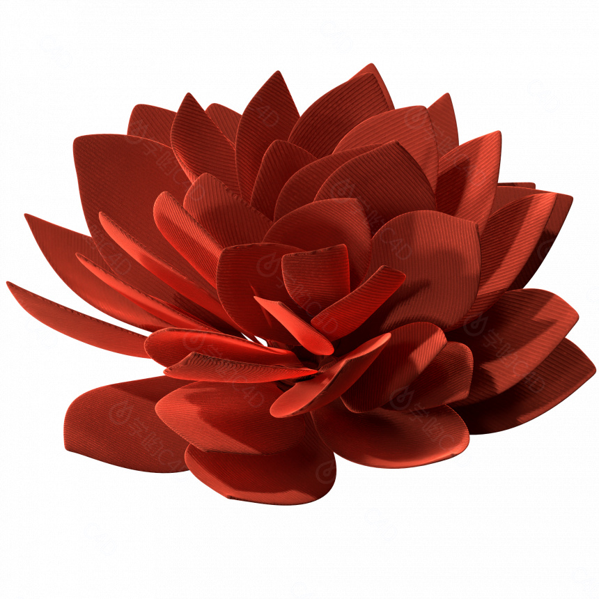 花朵立体红色玫瑰花花苞花瓣花朵装饰饰品C4D模型