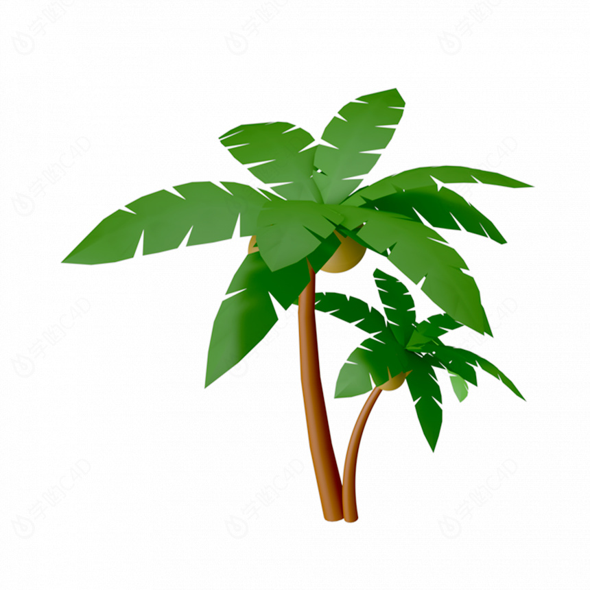 立体夏天椰子树植物C4D模型