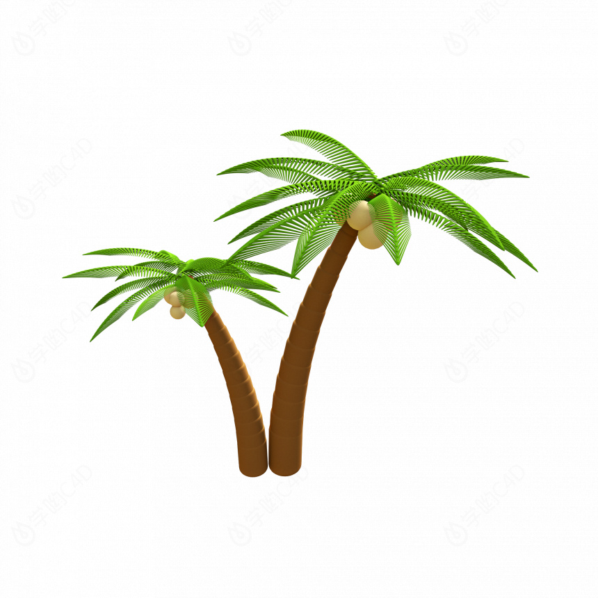 立体夏季椰子树植物C4D模型