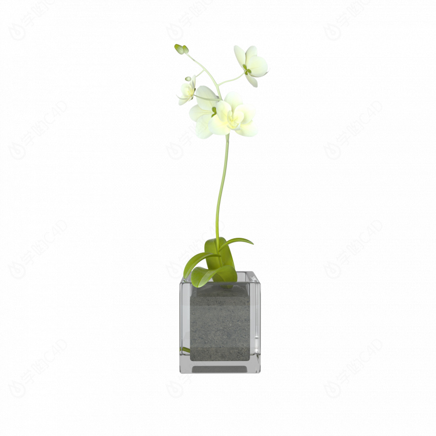 立体写实盆景花卉C4D模型