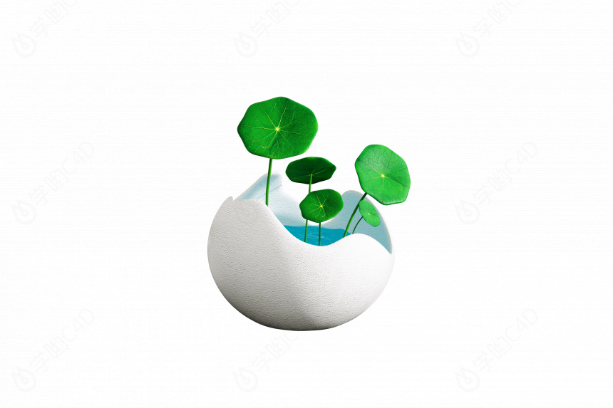 立体绿色植物盆栽C4D模型