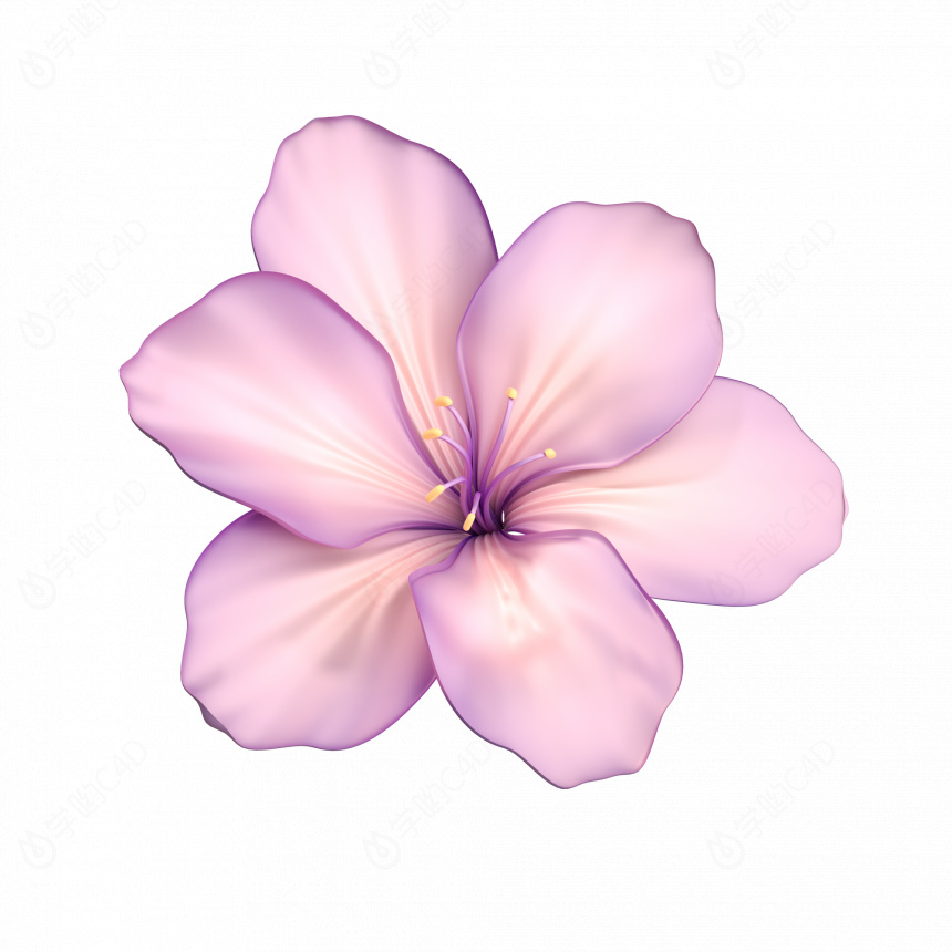 立体粉色花朵花卉植物C4D模型