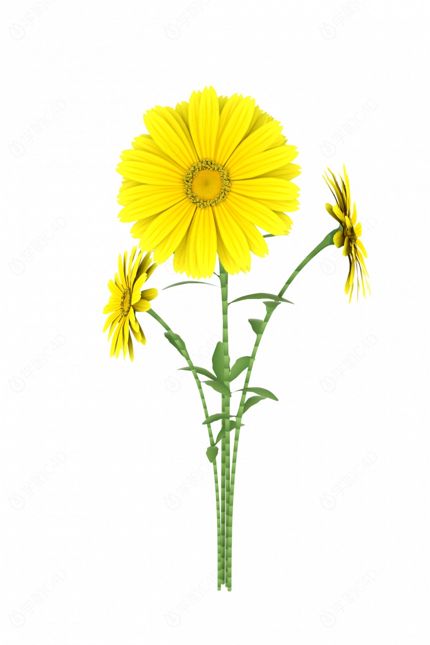 立体黄色花朵花卉植物C4D模型