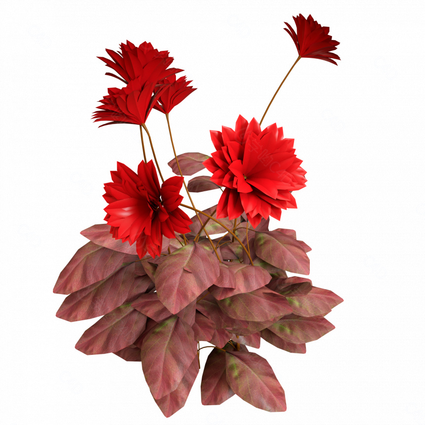 立体红色花朵花卉植物C4D模型