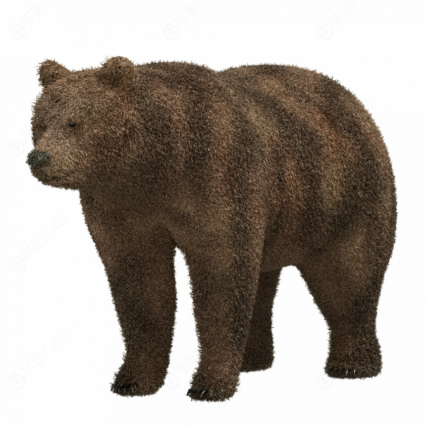 立体卡通小动物棕熊C4D模型