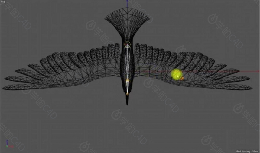 C4D使用xpresso和骨骼绑定制作鸟类飞行翅膀动画教程
