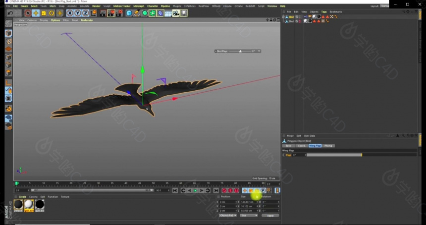 C4D使用xpresso和骨骼绑定制作鸟类飞行翅膀动画教程