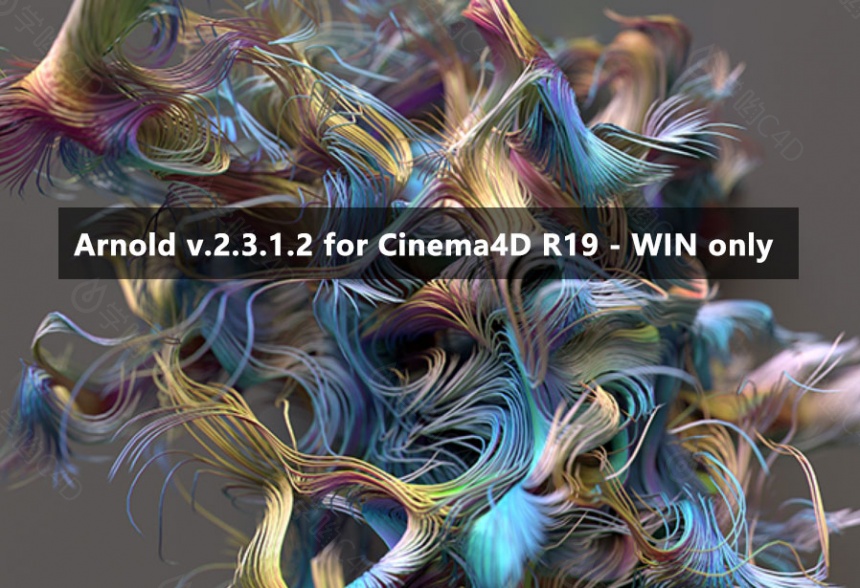 C4D渲染器 Solid Angle Cinema4D to Arnold v.2.3.1.2 for Cinema4D R19
